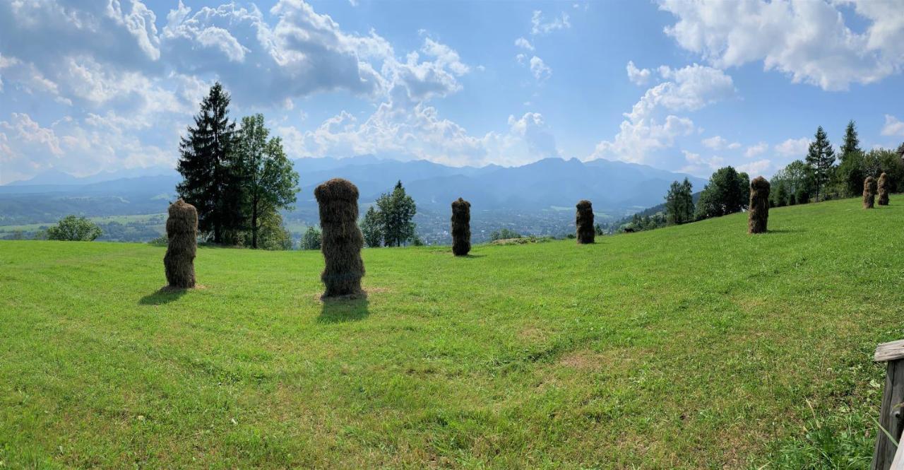 Willa Dolina Harenda Zakopane Bagian luar foto